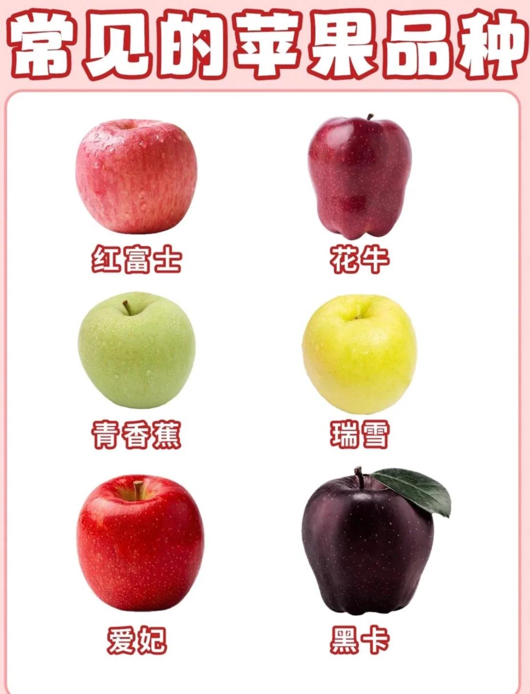 苹果和橘子的区别 苹果和橘子的区别英语作文 
